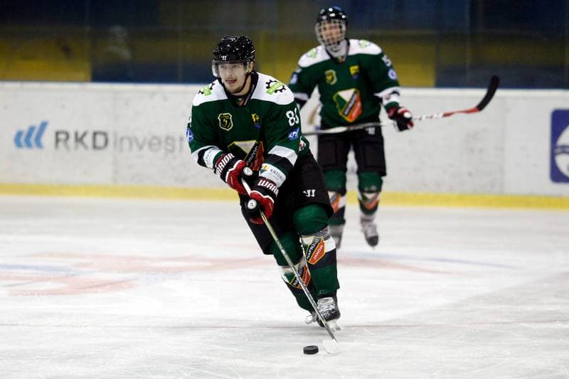 Ice Hockey. Polska Hokej Liga. Polonia Bytom - Naprzod Janow. 10.09.2017