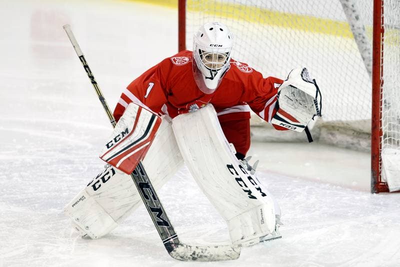 Ice Hockey. U18 Women's World Championship. Poland - Great Britain. 11.01.2017
