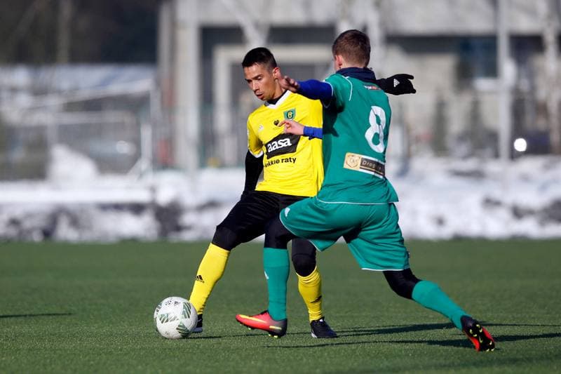 Football. Sparing. ROW Rybnik - GKS Katowice. 22.01.2017