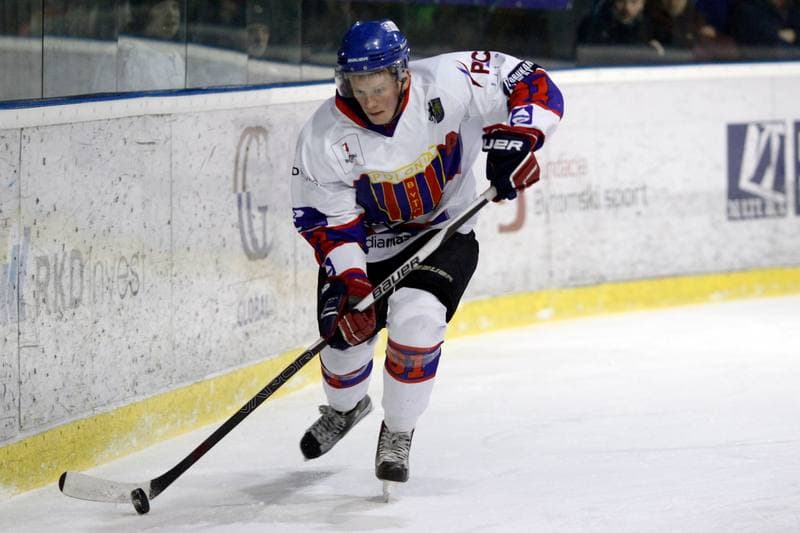 Ice Hockey. Polska Hokej Liga. Tempish Polonia Bytom - Podhale Nowy Targ. 29.01.2017