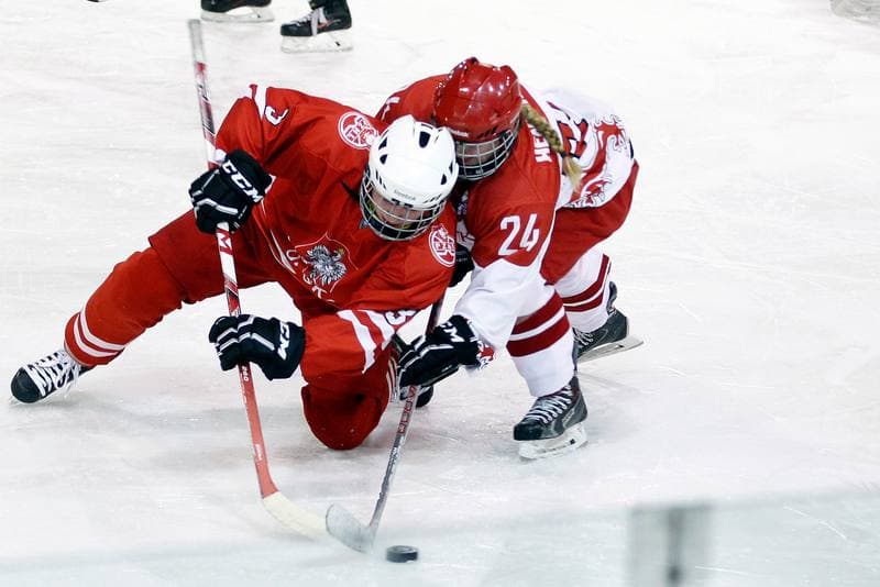 Ice Hockey. Women's U18 Friendly Match. Poland - Denmark. 06.01.2017