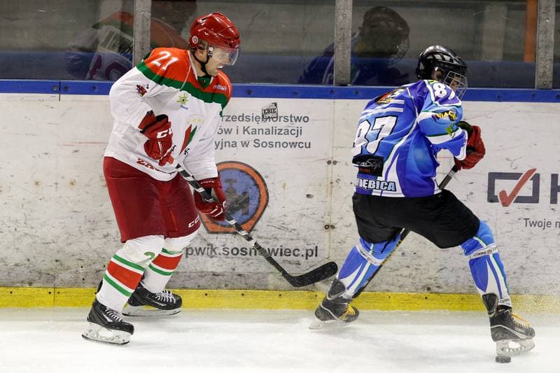 Ice Hockey. I Liga. Zaglebie Sosnowiec - UKH Debica. 18.02.2017