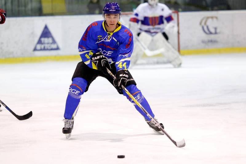 Ice Hockey. Polska Hokej Liga. Tempish Polonia Bytom - Orlik Opole. 01.03.2017