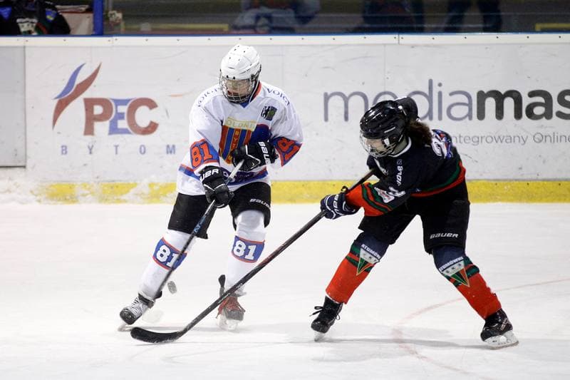 Ice Hockey. PLHK. Polonia Bytom - Atomowki Tychy. 27.01.2017