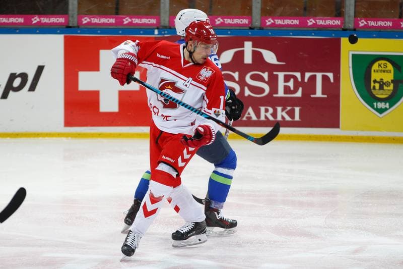 Ice Hockey. Euro Ice Hockey Challenge. Poland - Slovenia. 09.02.2017