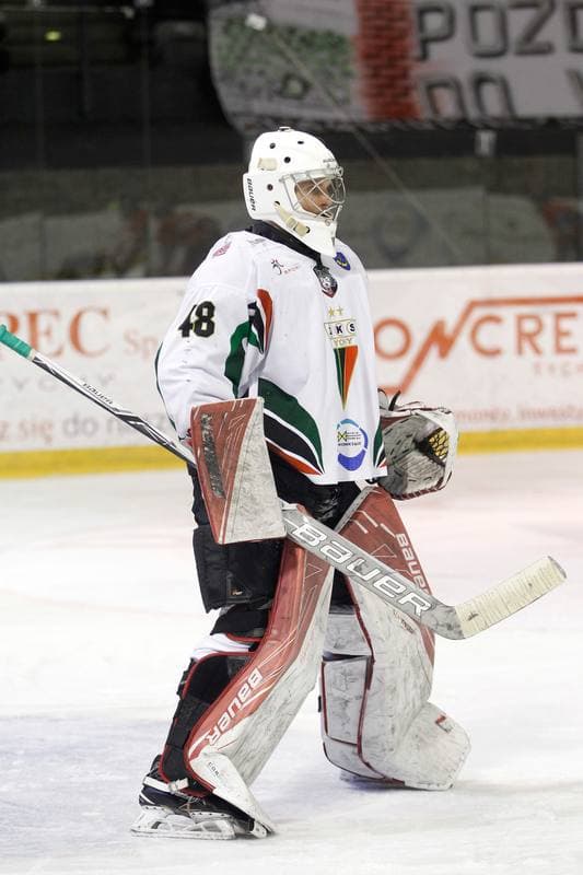 Ice Hockey. Polska Hokej Liga. GKS Tychy - Tempish Polonia Bytom. 08.03.2017