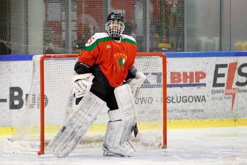 Ice Hockey. I Liga. Naprzod Janow - Zaglebie Sosnowiec. 12.03.2017