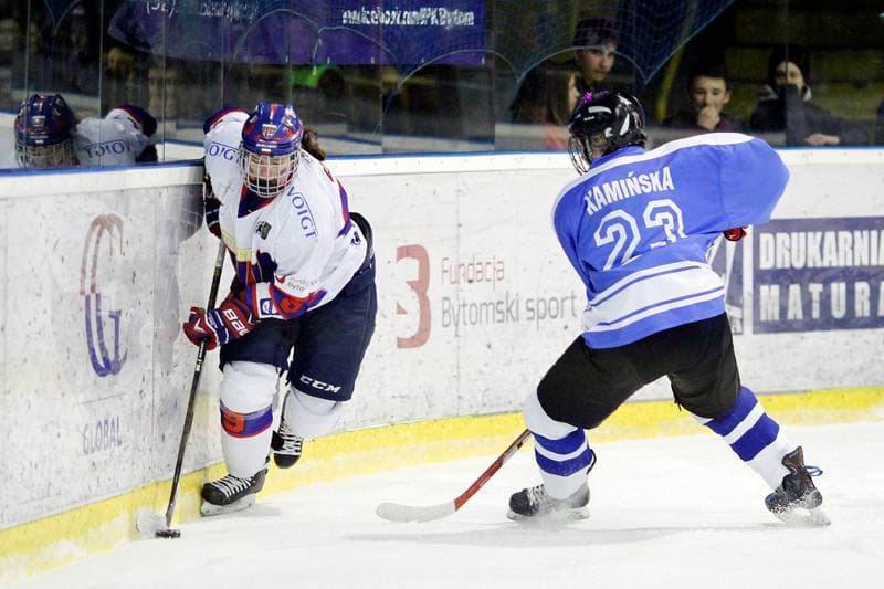 Ice Hockey. PLHK. Polonia Bytom - Stoczniowiec Gdansk. 18.03.2017