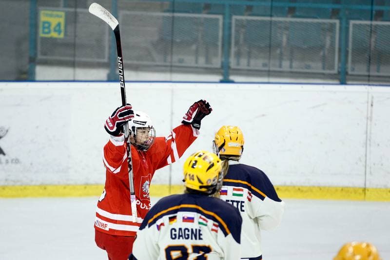 Ice Hockey. Women's Friendly Match. Poland - Ontario. 04.04.2017