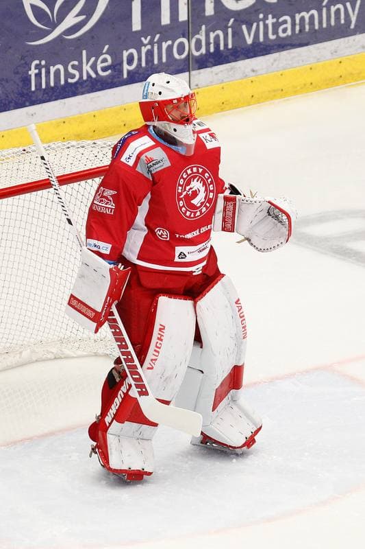 Ice Hockey. Tipsport Extraliga. Ocelari Trinec - Bili Tygri Liberec. 22.12.2017