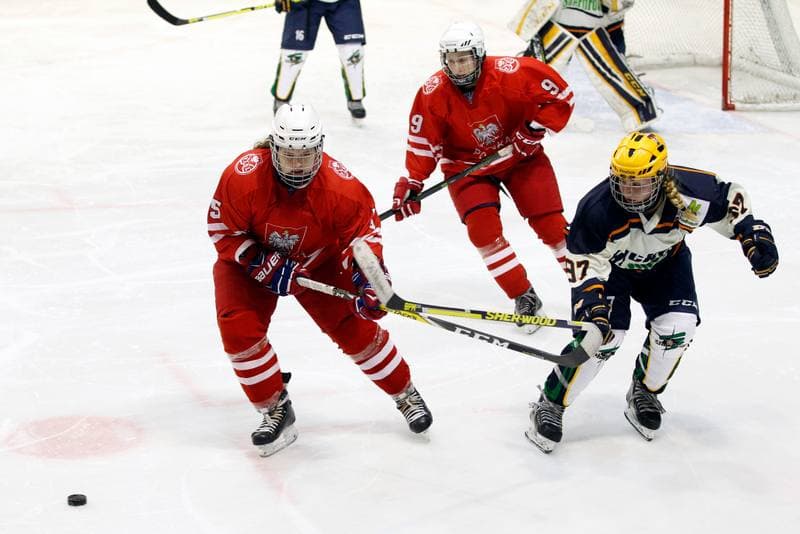 Ice Hockey. Women's Friendly Match. Poland - Ontario. 04.04.2017