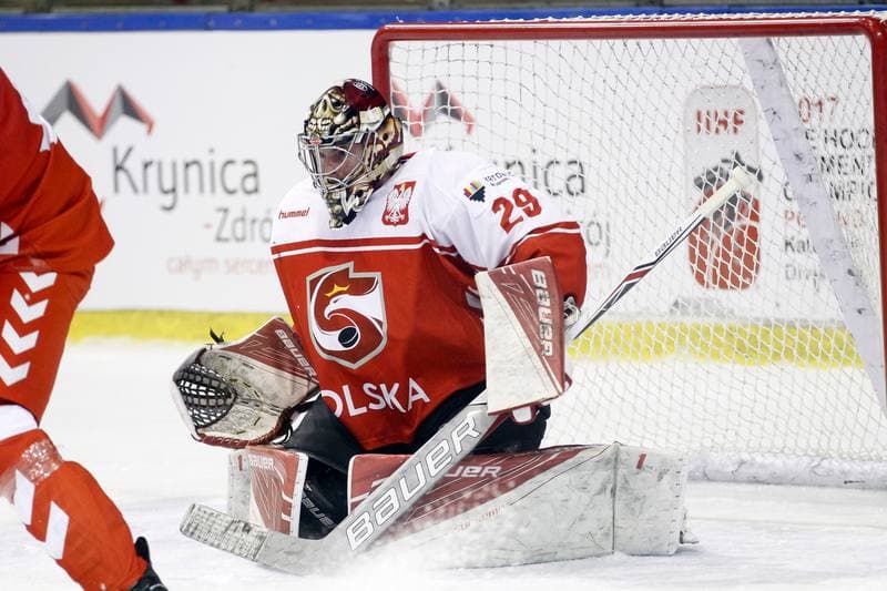 Ice Hockey. International Friendly Match. Poland - Slovakia B. 07.04.2017