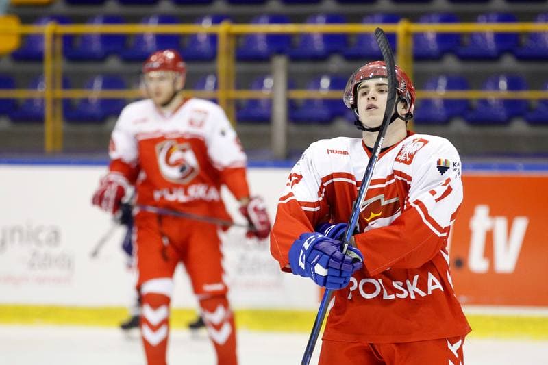 Ice Hockey. International Friendly Match. Poland - Slovakia B. 07.04.2017