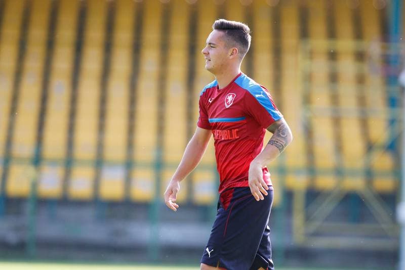 Football. Czech Republic. Training. 20.06.2017