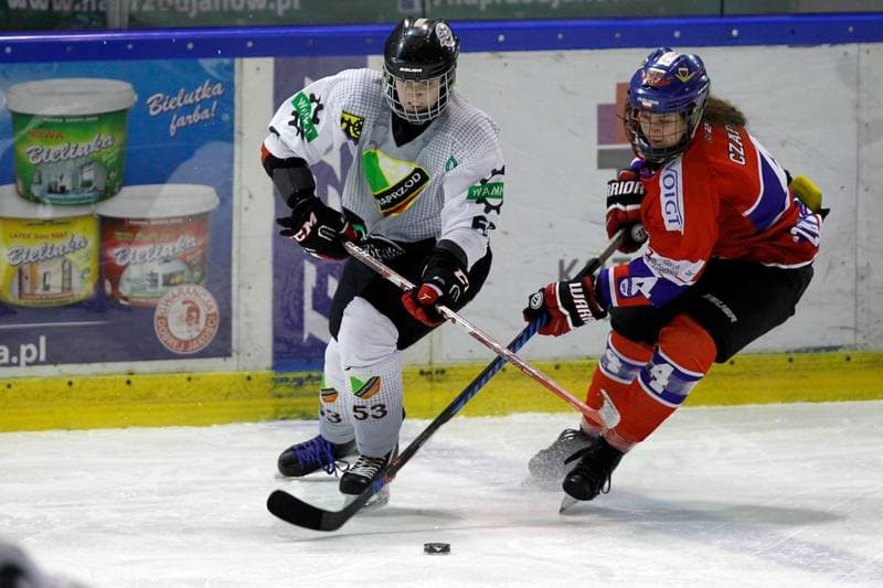 Ice Hockey. PLHK. Naprzod Janow - Polonia Bytom. 18.01.2018