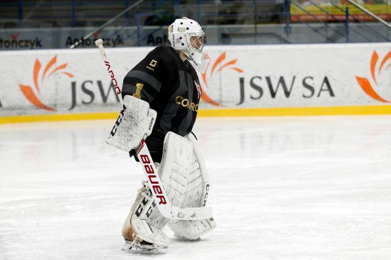 Ice Hockey. Polska Hokej Liga. JKH GKS Jastrzebie - Comarch Cracovia. 10.01.2019