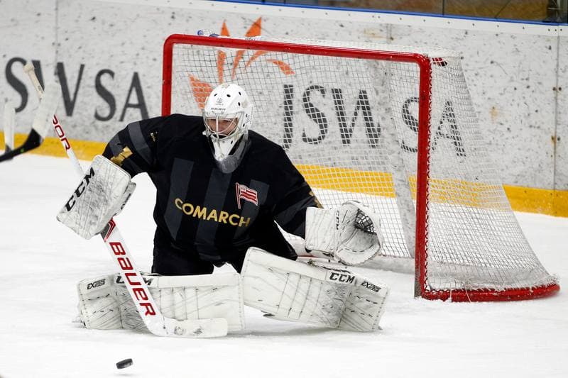 Ice Hockey. Polska Hokej Liga. JKH GKS Jastrzebie - Comarch Cracovia. 10.01.2019
