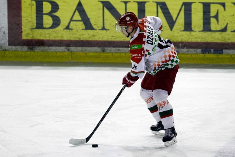 Ice Hockey. Polska Hokej Liga. Zaglebie Sosnowiec - Weglokoks Kraj Polonia Bytom. 13.01.2019
