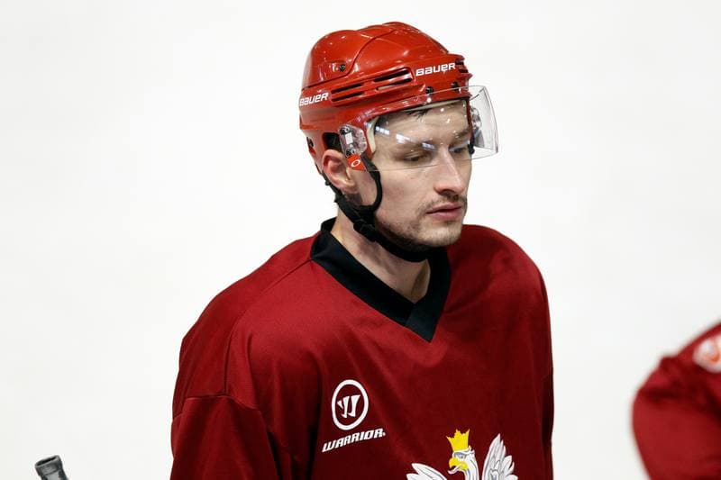 Ice Hockey. Poland national team. Training. 13.02.2018