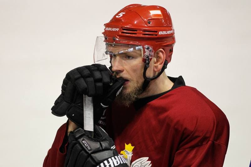 Ice Hockey. Poland national team. Training. 13.02.2018