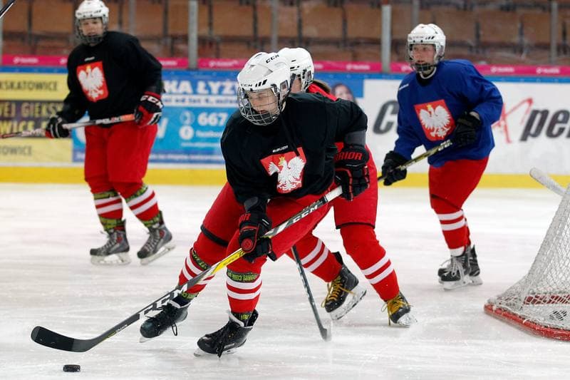 Ice Hockey. Poland national team. Training. 15.02.2018