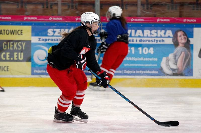 Ice Hockey. Poland national team. Training. 15.02.2018