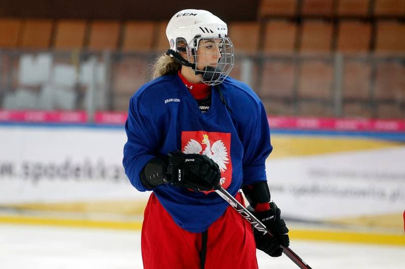 Ice Hockey. Poland national team. Training. 15.02.2018