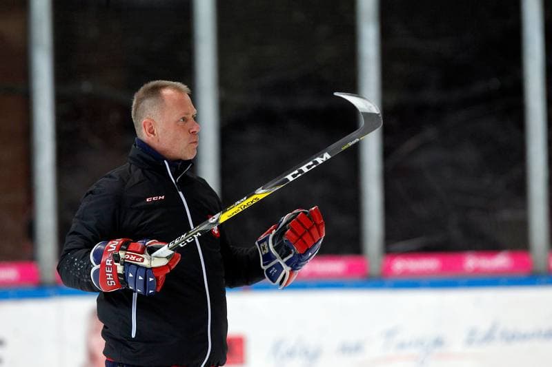 Ice Hockey. Poland national team. Training. 15.02.2018