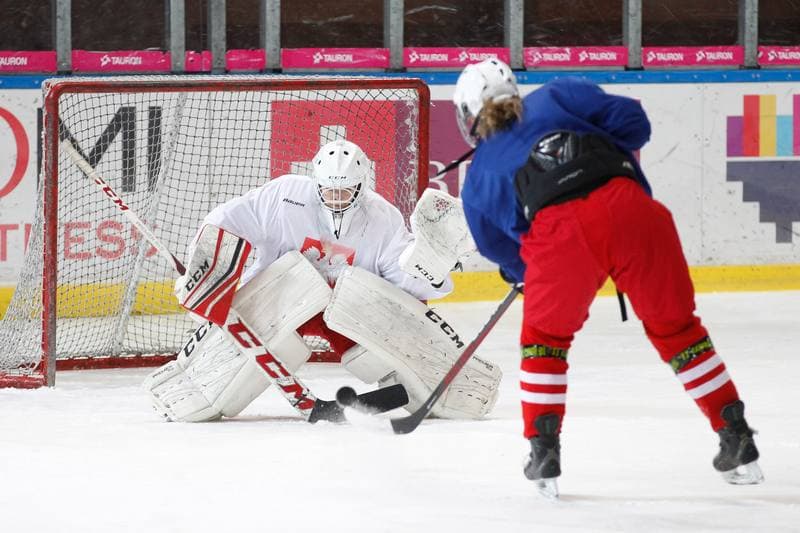 Ice Hockey. Poland national team. Training. 15.02.2018