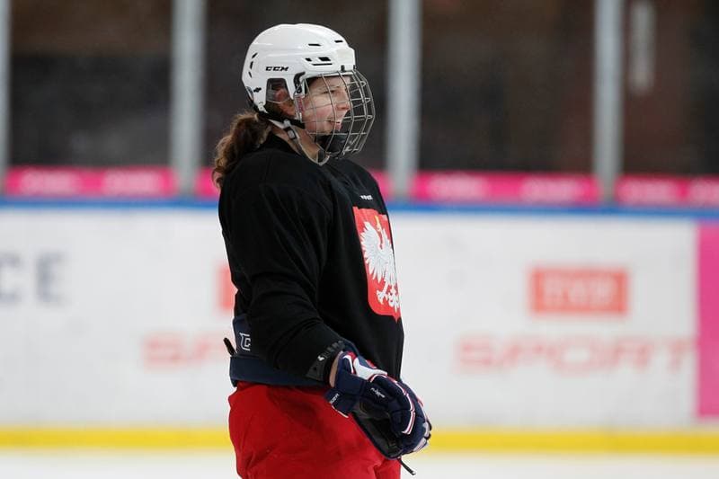 Ice Hockey. Poland national team. Training. 15.02.2018