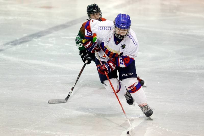 Ice Hockey. PLHK. Polonia Bytom - Naprzod Janow. 21.10.2017