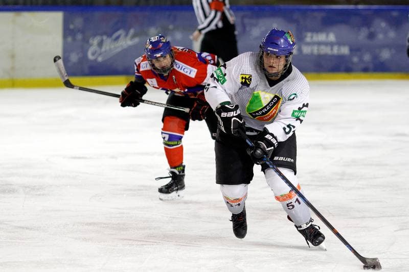Ice Hockey. PLHK. Naprzod Janow - Polonia Bytom. 24.02.2018