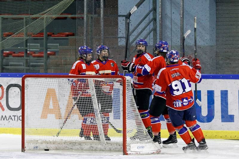 Ice Hockey. PLHK. Naprzod Janow - Polonia Bytom. 24.02.2018