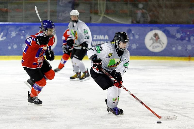 Ice Hockey. PLHK. Naprzod Janow - Polonia Bytom. 24.02.2018
