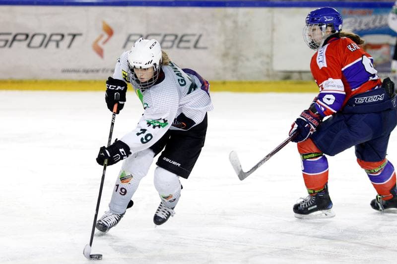 Ice Hockey. PLHK. Naprzod Janow - Polonia Bytom. 24.02.2018