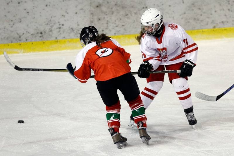 Ice Hockey. Women's U18 Championship. Poland - Hungary. 11.11.2018