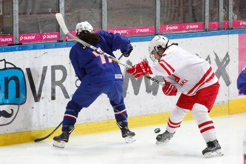 Ice Hockey. Women's U18 World Championship Division 1B. Poland - France. 11.01.2018