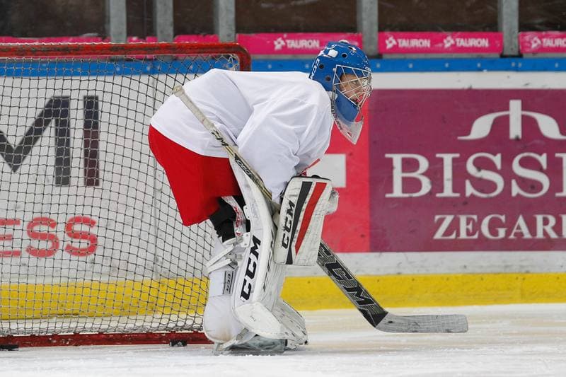 Ice Hockey. Poland national team. Training. 15.02.2018
