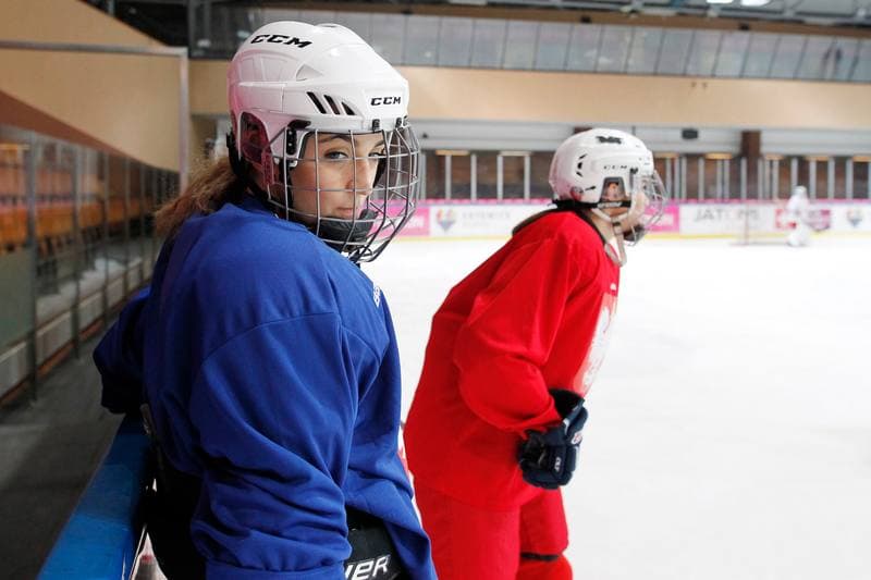 Ice Hockey. Poland national team. Training. 15.02.2018
