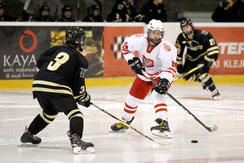 Ice Hockey. Women's Friendly Match. Poland - Washington Pride Hockey. 30.12.2018