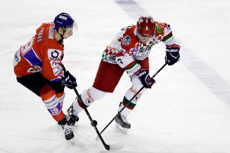 Ice Hockey. Polska Hokej Liga. Zaglebie Sosnowiec - Weglokoks Kraj Polonia Bytom. 13.01.2019