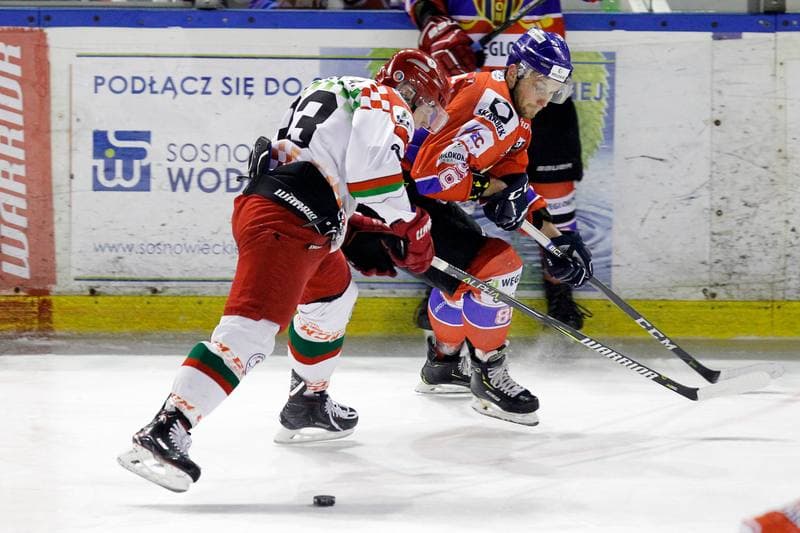 Ice Hockey. Polska Hokej Liga. Zaglebie Sosnowiec - Weglokoks Kraj Polonia Bytom. 13.01.2019