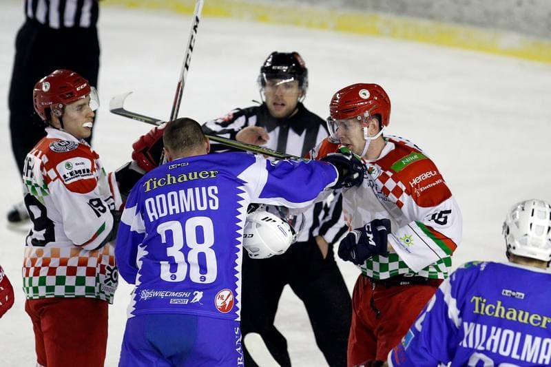 Ice Hockey. Polska Hokej Liga. Zaglebie Sosnowiec - Unia Oswiecim. 01.02.2019