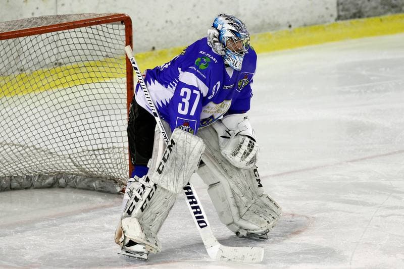 Ice Hockey. Polska Hokej Liga. Zaglebie Sosnowiec - Unia Oswiecim. 01.02.2019