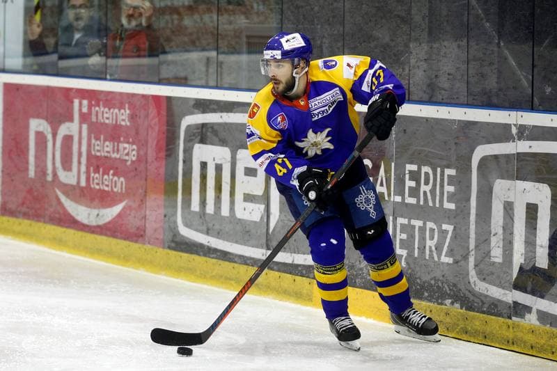 Ice Hockey. Polska Hokej Liga. GKS Tychy - TatrySki Podhale Nowy Targ. 18.03.2019