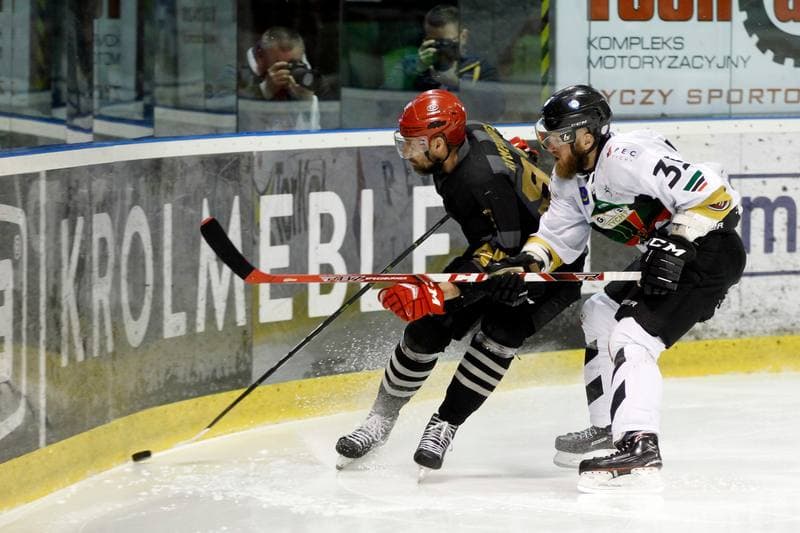 Ice Hockey. PHL. GKS Tychy - Comarch Cracovia. 02.04.2019