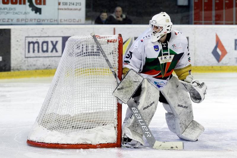 Ice Hockey. PHL. GKS Tychy - Comarch Cracovia. 02.04.2019