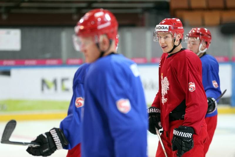Ice Hockey. Poland national team. Training. 20.08.2018