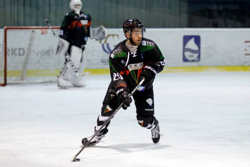 Ice Hockey. Polska Hokej Liga. Polonia Bytom - GKS Tychy. 28.01.2018