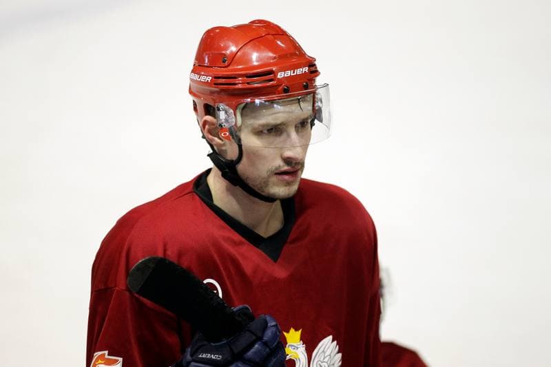 Ice Hockey. Poland national team. Training. 13.02.2018
